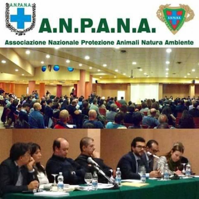 Anpana official debutta anche su instagram