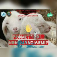 Frosinone - ANPANA onlus &quot;salviamo l&#039;agnello&quot;