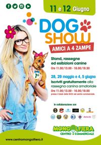 Dog show amici a 4 zampe